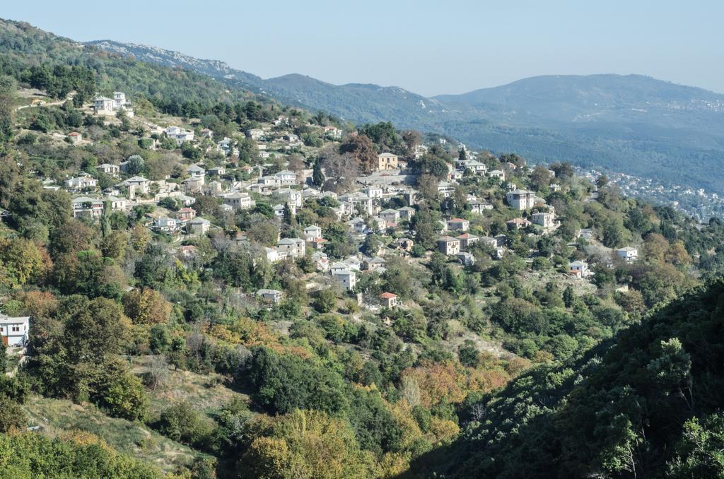 Riga'S Pinakoti Lodge Πινακάτες Δωμάτιο φωτογραφία